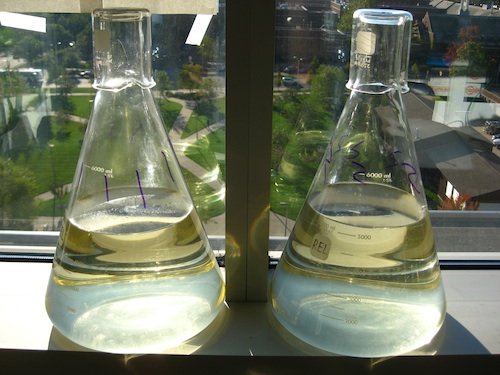 window_flasks.jpg