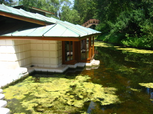 dow_house_sunken_office.jpg