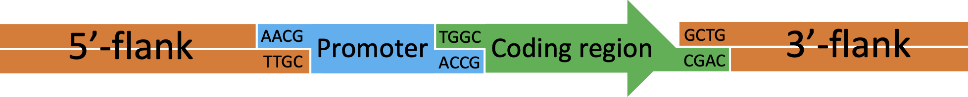 multipart_assembly.png