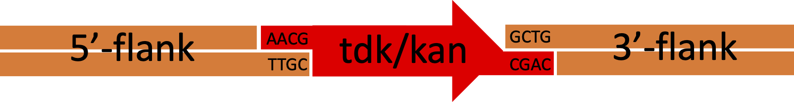 tdkkan_assembly.png